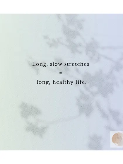 Our flexibility comes not just from our muscles, but from our connective tissues. Long, slow stretches are the key to nourishing these often-ignored parts of our body for a long, healthy life.
