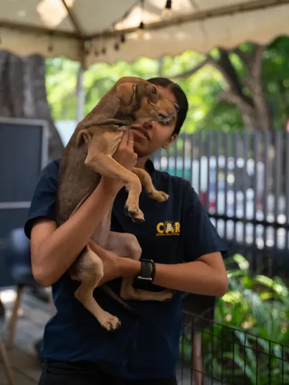 A volunteer holds one of our adorable pups at the Maverick & Farmer event. These outings help socialize our animals and prepare them for their forever homes.