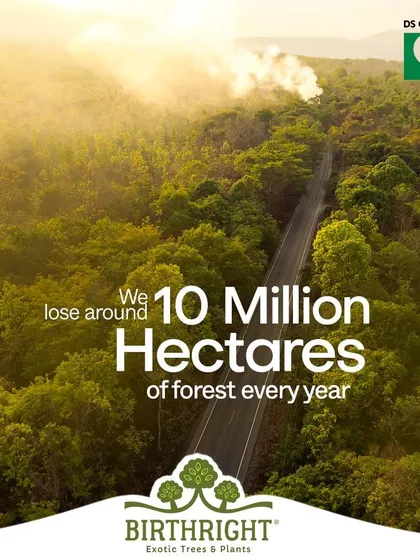 We lose around 10 million hectares of forest every year. This staggering number is why community planting drives are more critical than ever.