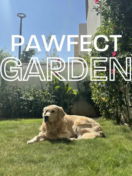 I believe gardens are for every member of the family, including the furry ones. This is a look at one of my "pawfect" garden designs, using pet-safe plants and durable turf to create a beautiful and safe space for dogs to relax and play.