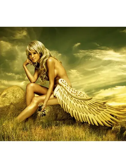 "Resting Angel," a conceptual piece that blends beauty and surrealism. The image was created to evoke a sense of mythology, with golden light and wings transforming the landscape into a dreamlike scene.