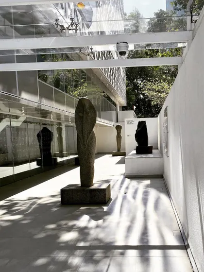 The sculpture court at MAP, showing how dappled sunlight filters through the overhead canopy, creating a dynamic environment for the artwork.