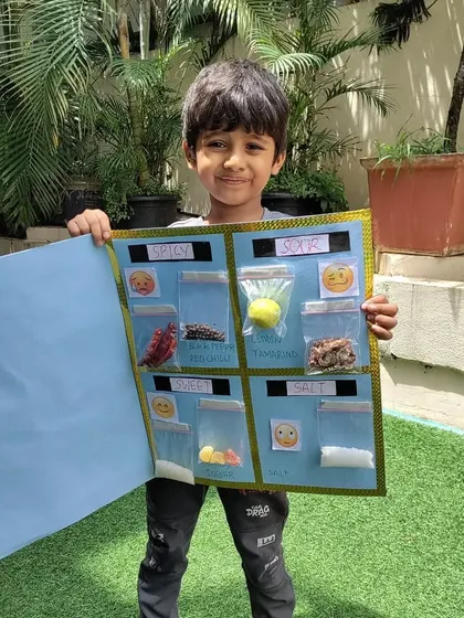 An open view of the 'Types of Taste' project, with labeled pouches of different food items. This was a fun, multi-sensory learning experience.