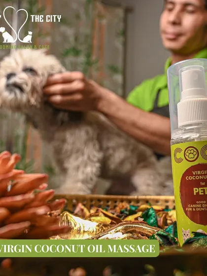 Our virgin coconut oil massage is a luxurious treatment that leaves your pet's coat feeling soft and their skin hydrated and healthy.