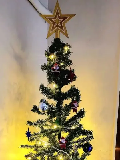 A simple and elegant Christmas tree decoration, with warm lights, small ornaments, and a star on top.