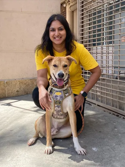 A proud moment with Titan after a successful training session. Behavior modification is a journey that requires patience and consistency from the pet parent, and his family's dedication was key to his amazing transformation.