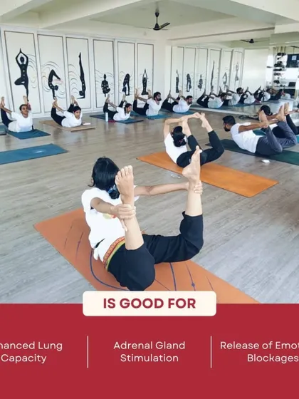 Dhanurasana (Bow Pose) is a full-body backbend. This infographic details its benefits for lung capacity and emotional release, which are explored in our TTC.