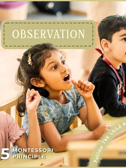 Observation is one of our most vital tools. We "follow the child," observing without judgment to recognize their needs and help them discover their own unique strengths.