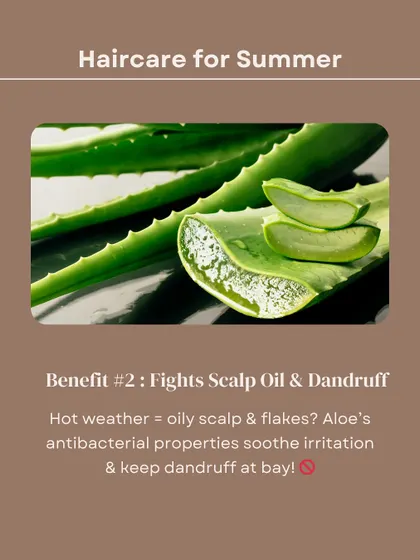 Benefit #2 of Aloe Vera: Fights Scalp Oil & Dandruff. Its antibacterial properties soothe irritation and keep flakes at bay, which is especially helpful in hot weather.