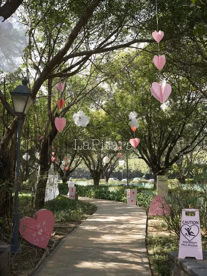 A tree-lined path decorated with hanging paper hearts, creating a romantic walkway.