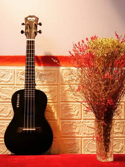 A beautiful ukulele waiting to be played. We provide high-quality instruments for our students to learn on.