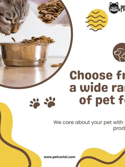 Choosing the right food is easy with our wide selection. Whether you have a cat, dog, or another small animal, we have the perfect meal to meet their dietary needs.
