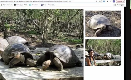 The children get to see giant tortoises up close through photos from a parent's travels, making the learning experience personal and exciting.