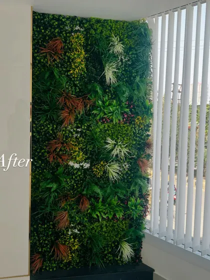The 'after' shot of the window-side green wall, showing a complete and vibrant installation.