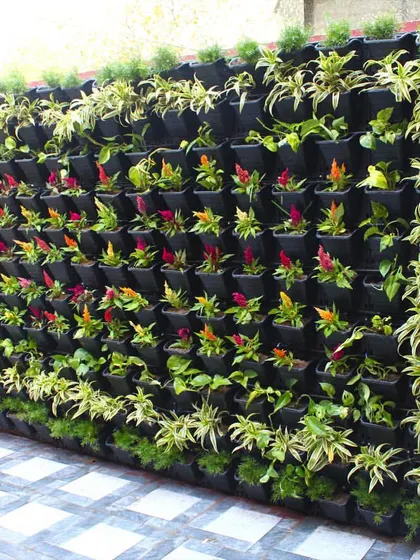 I turned this client's driveway into a place of calm and beauty. This living wall with seasonal flowers greets them every time they come home, adding a touch of nature to an often-overlooked space.