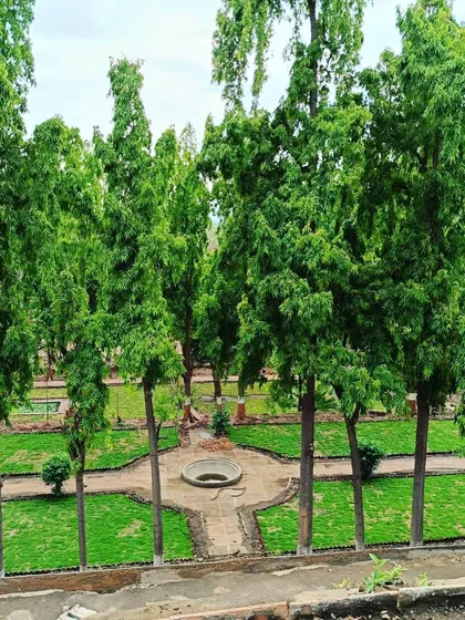 A formal garden area within the Vadodara park, featuring pathways, a central water feature, and tall Polyalthia trees.