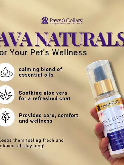 A repeat of image 54, this infographic is a quick, easy-to-read summary of the wellness benefits packed into every bottle of Ava Naturals cologne.