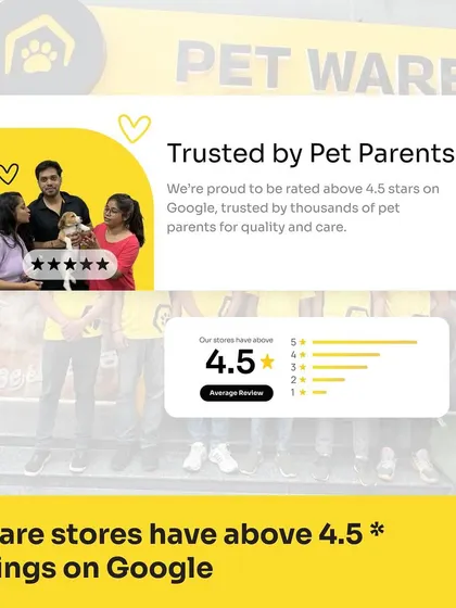 We are proud to be rated above 4.5 stars on Google. This graphic is a testament to the trust our customers place in us and a milestone we are very proud of.