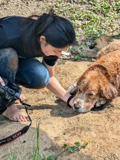 A moment of connection before the photo. Our photographer gently interacts with Whiskey, building a bond of trust that allows his true personality to shine through in the final images.