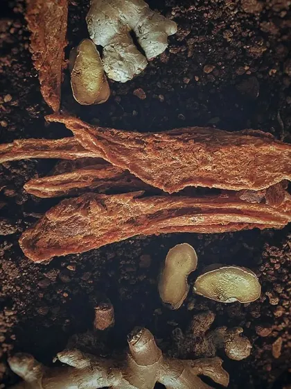 For a uniquely savory treat, we offer our Ginger & Peanut Chicken Jerky. This combination provides a delicious flavor profile while incorporating the natural benefits of ginger for your dog's well-being.