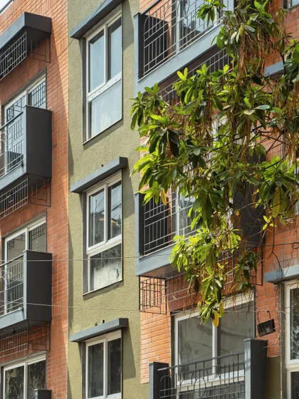 We designed the building's facade to incorporate an existing tree, staggering the floors to create space for it to grow. This gesture of integrating nature into the architecture is central to our design philosophy.