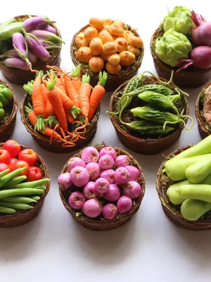 A beautiful flat lay of all 15 types of miniature vegetables taught in the course.