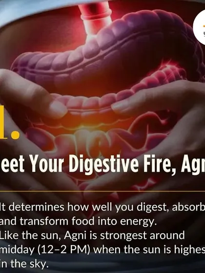 In Ayurveda, 'Agni' is your digestive fire. It's strongest around midday, just like the sun. Eating your largest meal then allows your body to digest and absorb nutrients most efficiently.