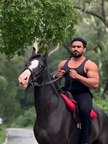 A close-up shot on the horse.