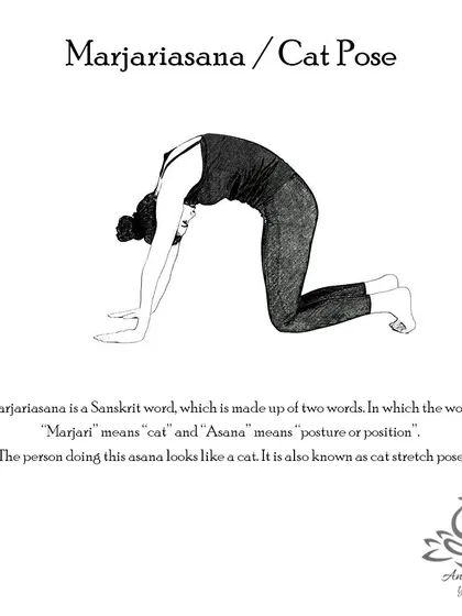 Marjariasana (Cat Pose) provides a gentle massage to the spine and belly organs, improves posture and balance, and relieves stress.