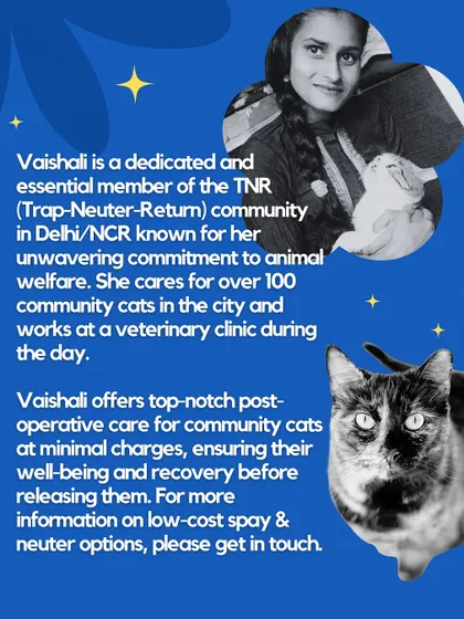 Meet Vaishali, my partner in crime and an absolute rockstar for Delhi/NCR's community cats! She handles the super important post-operative care for our TNR program. With her expertise from a vet clinic and caring for over 100 street cats, you know your billi is in the safest hands.