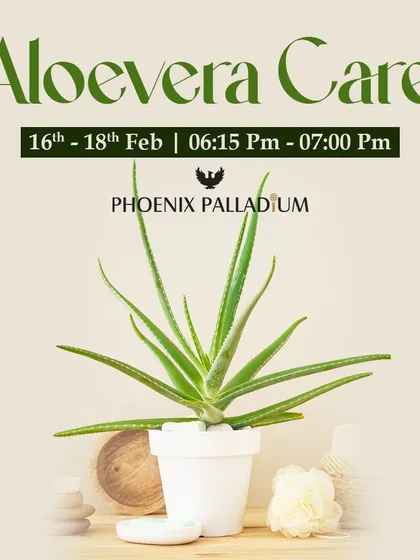Discover the many benefits and uses of the aloe vera plant in our dedicated Aloevera Care workshops, a popular session at our Green & Wellness events.