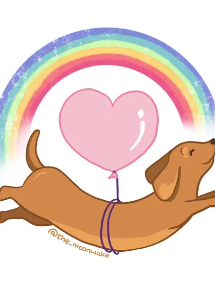 A joyful dachshund floating under a rainbow with a heart balloon. This was my piece to celebrate Pride Month and spread a little love.