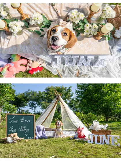 A beautifully styled 5th birthday for June the Beagle. From the custom "JUNE" letters to the chalkboard sign, every detail was planned to make her day special.