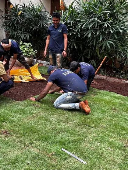 The team is all hands on deck, leveling the ground and laying the turf to ensure a perfect finish for the Taneira store's new garden area.