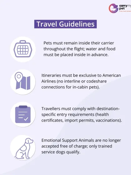 Key travel guidelines for American Airlines, including rules about keeping pets in their carrier and complying with destination-specific entry requirements.