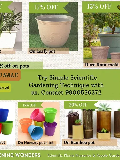 This flyer from our year-end sale highlights discounts on a variety of our pots, including large rotomold planters, bamboo pots, and basic nursery pots.