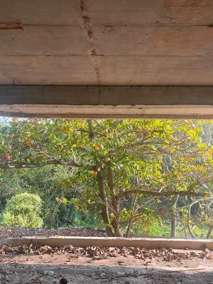 Sometimes nature provides the best blueprint. On a site visit in Goa, this existing window perfectly framed a beautiful tree, prompting us to adapt our design to embrace this natural focal point and expand the connection to the outdoors.
