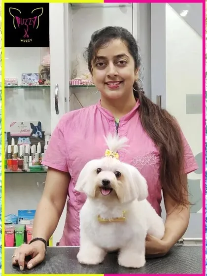 Lucy the Maltese is looking pretty and polished. Her grooming includes a perfect trim to create those clean lines and a cute top knot to complete the look.