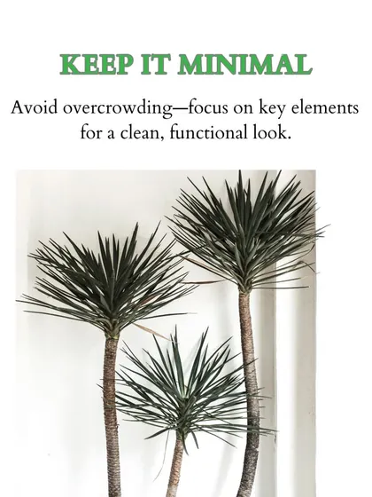 To avoid a cluttered look on a small balcony, I focus on a few key elements. Here, three minimalist dragon trees (Dracaena) make a statement without overwhelming the space.