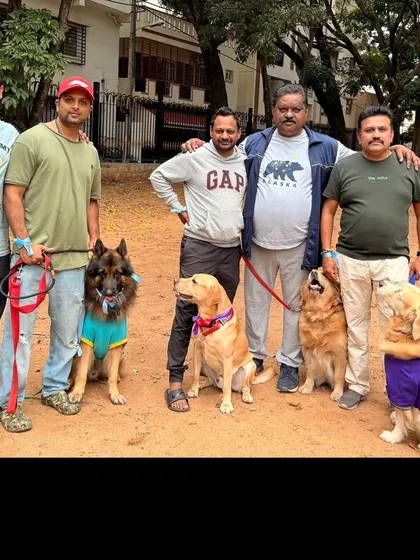 Friends and their furry companions posing together. This picture showcases a variety of breeds, including a German Shepherd and Golden Retrievers, all getting along beautifully, which is a result of our focus on proper socialization.