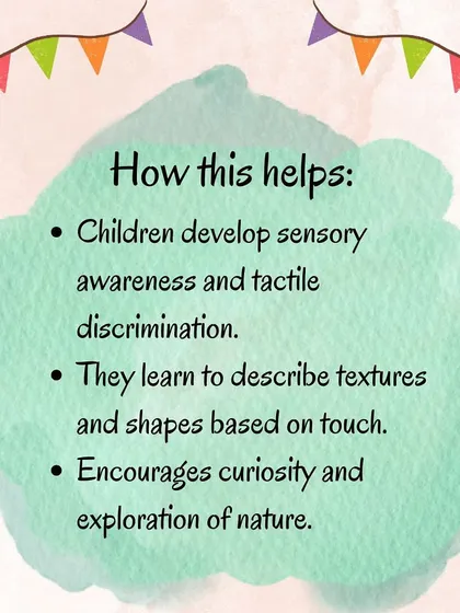 What's in the mystery box? This sensory game encourages children to use their sense of touch to identify objects from nature, developing tactile awareness and curiosity.