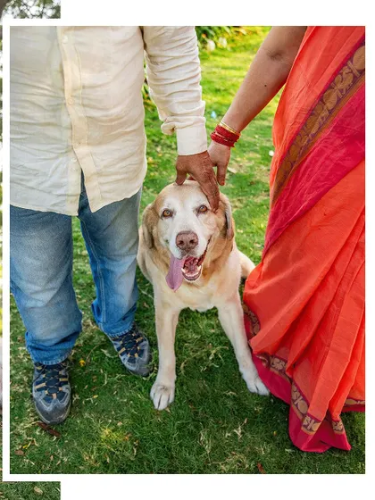 A close-up of Kumo with his grandparents. The bond between pets and the older generation is always so special and heartwarming to photograph.