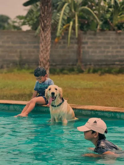 Making friends and splashing around. Our pool is a safe space for kids and dogs to enjoy a sunny afternoon together.