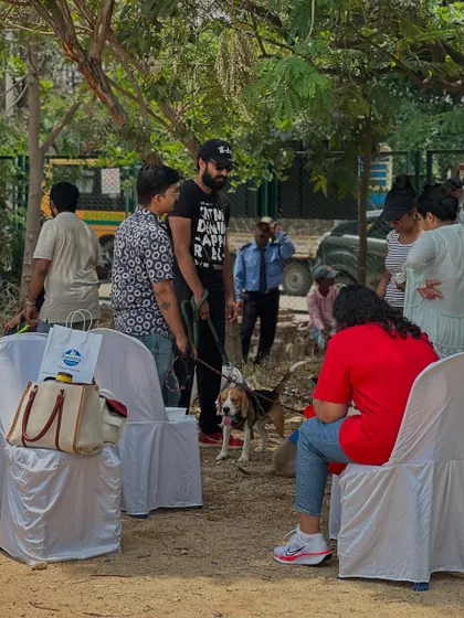 Potential adopters chatting with a rescuer at our outdoor drive. This is where the important conversations happen, learning about a dog's history, temperament, and needs.