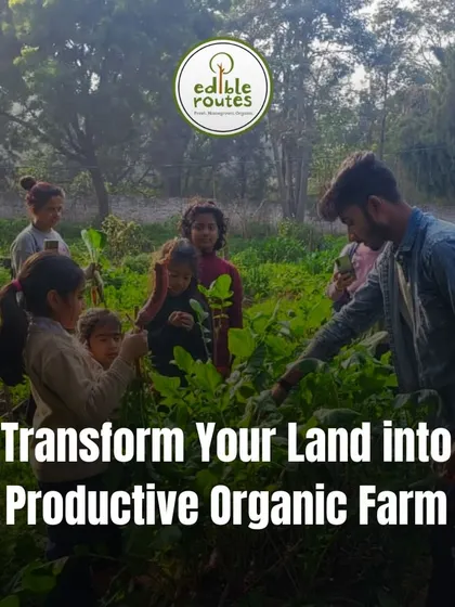 We can help you transform your land into a productive organic farm. Here, children are learning to harvest, connecting with the earth from a young age.