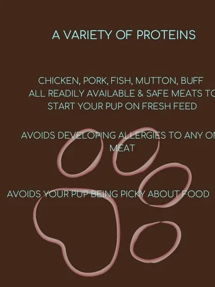 We offer a variety of proteins like chicken, pork, and fish because rotation is crucial. It helps prevent allergies and keeps picky eaters interested in their food.