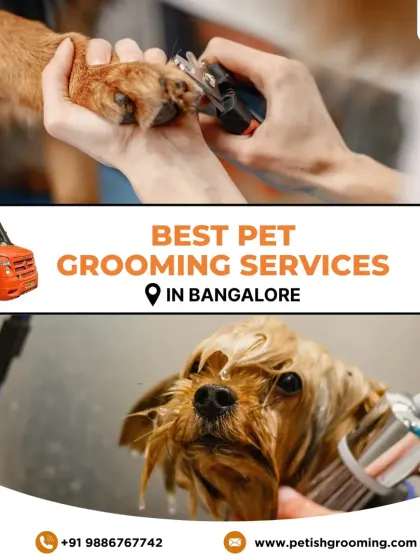 This collage highlights some of my core services, including nail trimming and bathing, all delivered conveniently to you in my mobile grooming van.