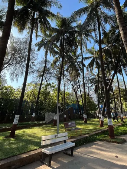 The peaceful, green environs of Shivaji Park, with its iconic palm trees providing shade over the benches.