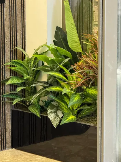 Another example of our artificial planter styling. The vibrant green leaves with intricate patterns add a pop of life and color to this indoor space.