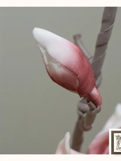 A close-up of a delicate, budding flower, capturing the promise of a bloom in an everlasting form. The detail is what makes these arrangements so special.